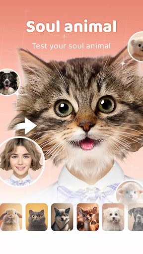Animal Face screenshot 4