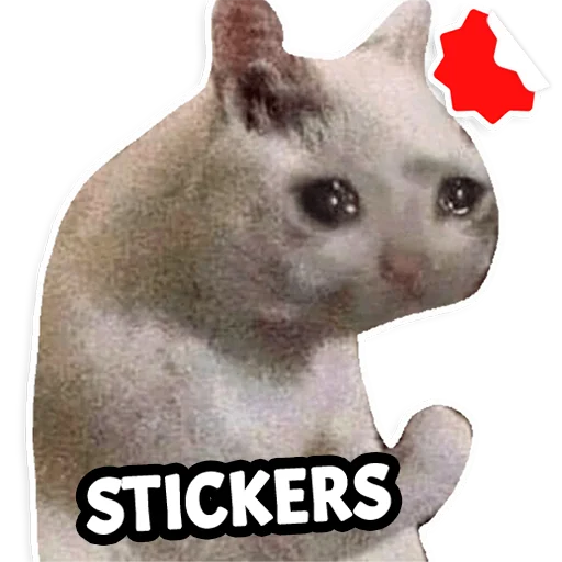 Cat Memes Stickers WASticker